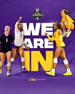 Image post by @lsuvolleyball on Twitter