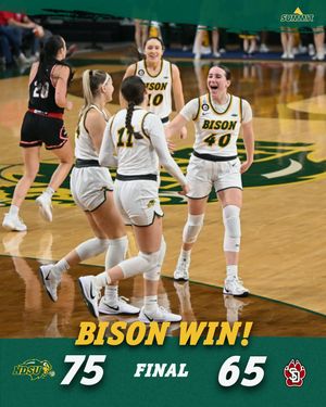 Image post by @ndsuwbb on Instagram