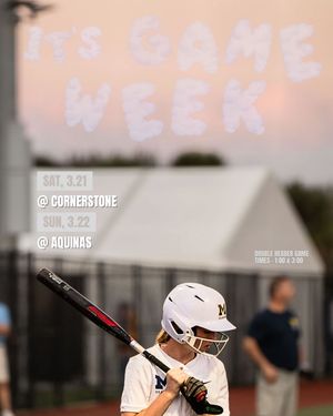 Image post by @umdearbornsoftball on Instagram