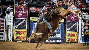 Video post by @pbr on YouTube