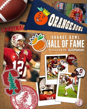 Image post by @orangebowl on Instagram