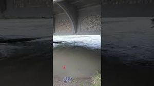 Video post by @cmcalgary on YouTube