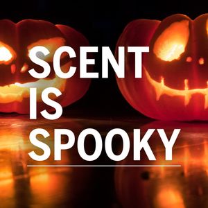 Image post by @scentbeauty on Instagram