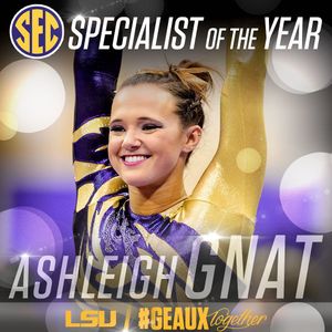 Image post by @lsugym on Instagram
