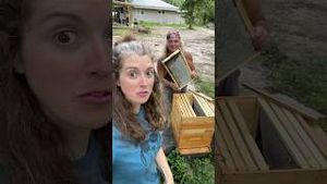 Video post by @AnnaTheArcher on YouTube
