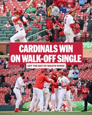 Image post by @mlb on Instagram