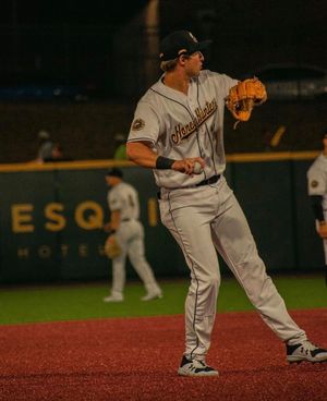 Image post by @gohoneyhunters on Instagram