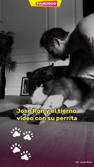 Image post by @univisionfamosos on Instagram