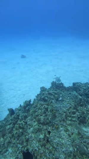 Video post by @b r o o k e🦈 on Facebook