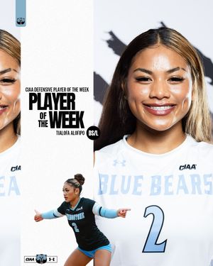 Image post by @bluebearathletics on Instagram