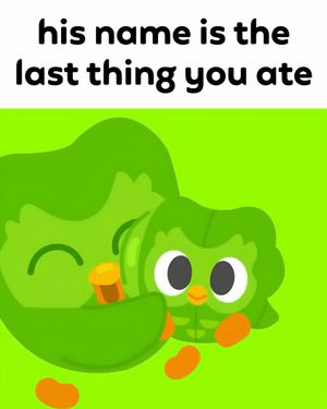 Image post by @duolingoenglishtest on Instagram