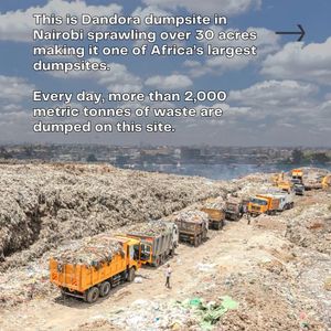 Image post by @greenpeace on Instagram