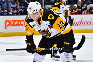 Image post by @bulldogsohl on Instagram