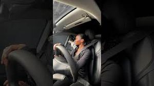 Video post by @lizaotovo on YouTube