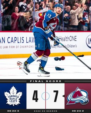 Image post by @nhl on Instagram