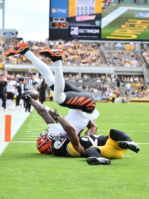 Image post by @bengals on Instagram