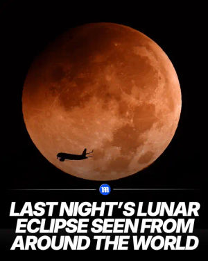 Image post by @dailymail on TikTok