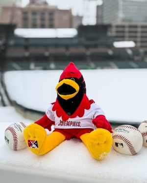 Image post by @memphisredbirds on Instagram
