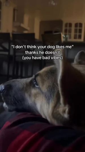 Video post by @bugssssy on TikTok