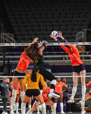 Image post by @ecuvb on Instagram