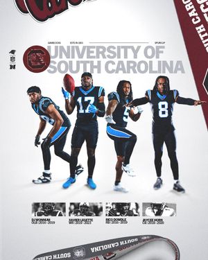 Image post by @Panthers on Twitter