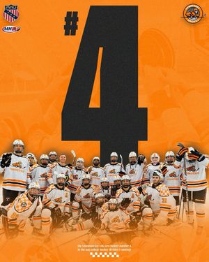 Image post by @tennesseehockey on Instagram