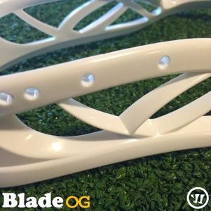 Image post by @warriorlax on Instagram