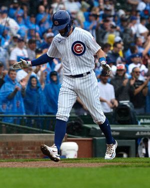 Image post by @cachorros on Instagram