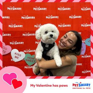 Image post by @petsmart on Instagram
