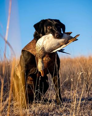 Image post by @thereelmacoy on Instagram