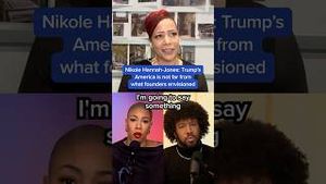 Video post by @msnbc on YouTube