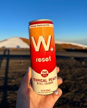 Image post by @drinkweller on Instagram