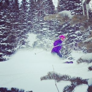Image post by @pcski on Instagram