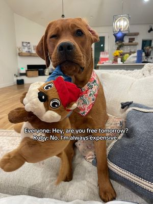 Video post by @reece_christinee on TikTok