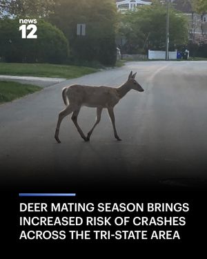 Image post by @news12nj on Instagram