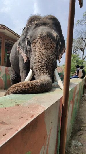 Image post by @sudeshnaadmane on Instagram