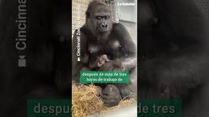 Video post by @laopinionla on YouTube
