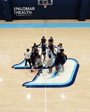 Image post by @usdwbb on Instagram