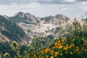 Image post by @CSURams on Twitter