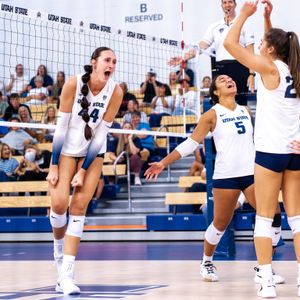 Image post by @usuvolleyball on Instagram