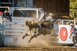 Image post by @sistersrodeo on Instagram