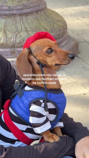 Video post by @clarakunning on TikTok