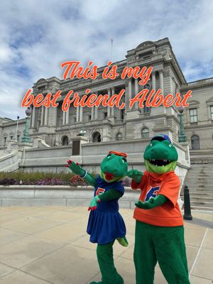 Image post by @albertathegator on Instagram