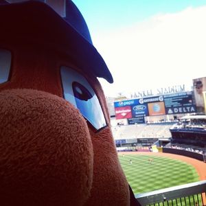 Image post by @theottoorange on Instagram
