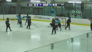 Video post by @BuffaloBeauts on Facebook