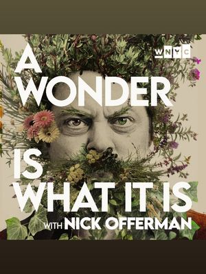 Image post by @nickofferman on Instagram