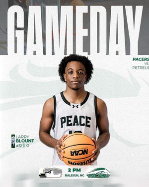 Image post by @gopeacembb on Instagram