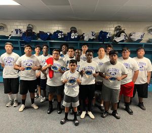 Image post by @aldinemustangfb on Instagram