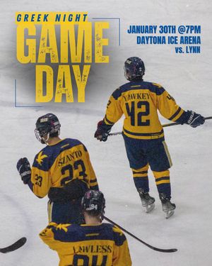 Image post by @erau.hockey on Instagram