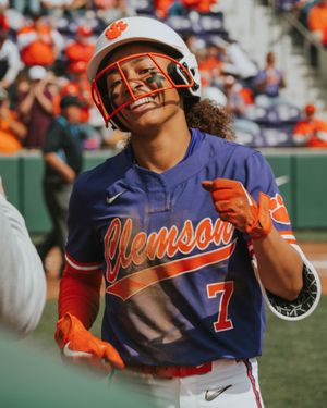 Image post by @aralynnminnick on Twitter